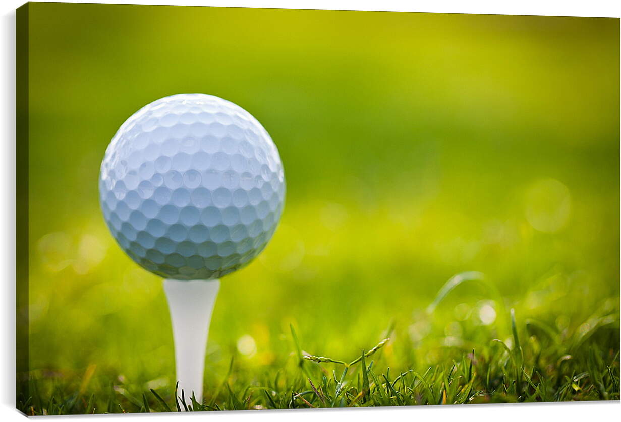 Постер и плакат - Мяч на гольф-ти