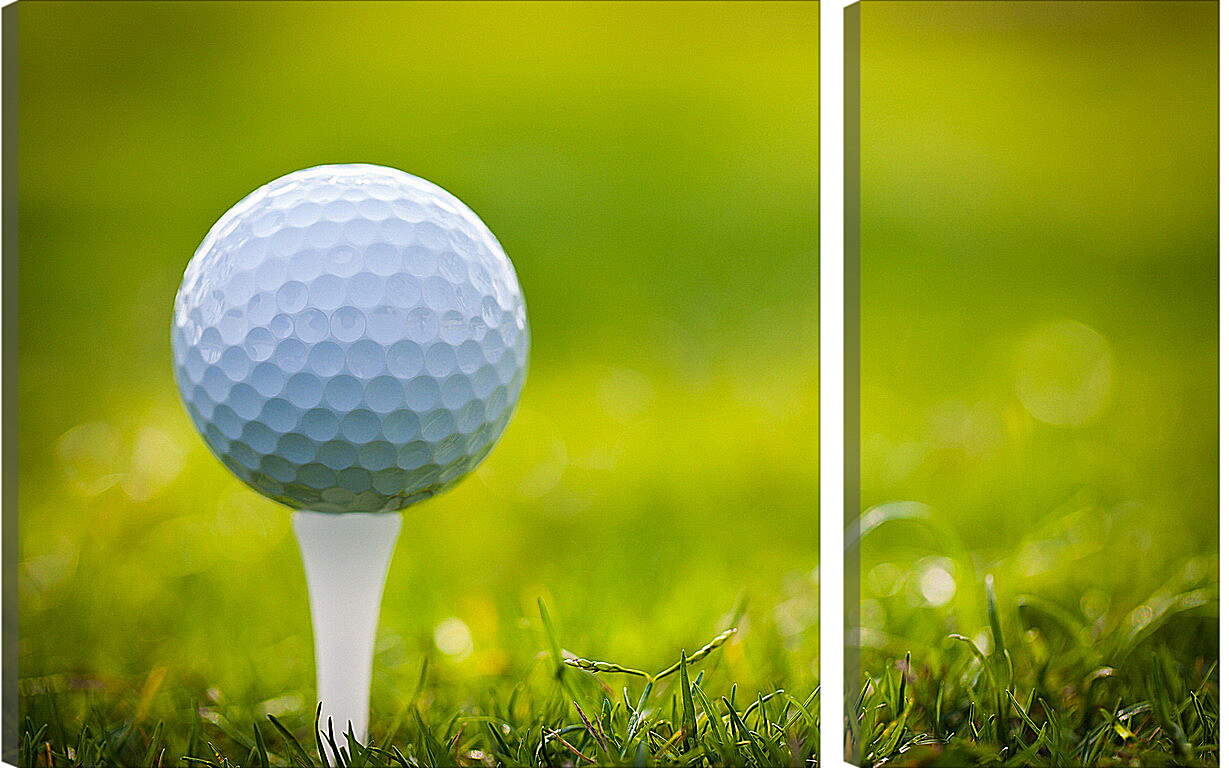 Модульная картина - Мяч на гольф-ти