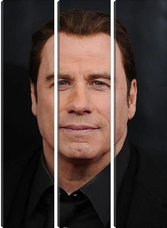 Модульная картина - Джон Траволта. John Travolta