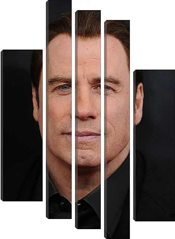 Модульная картина - Джон Траволта. John Travolta