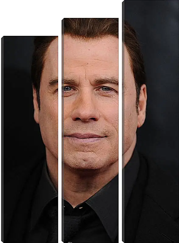 Модульная картина - Джон Траволта. John Travolta