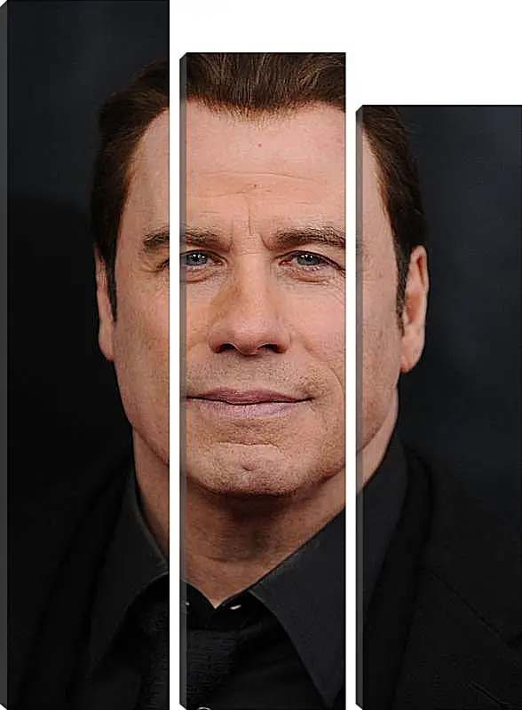 Модульная картина - Джон Траволта. John Travolta