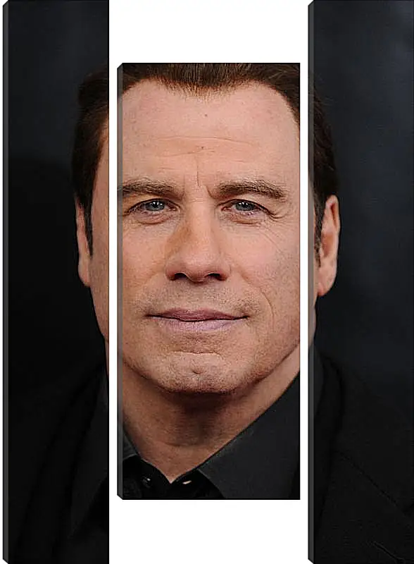 Модульная картина - Джон Траволта. John Travolta