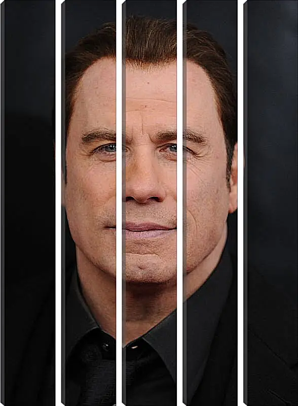 Модульная картина - Джон Траволта. John Travolta