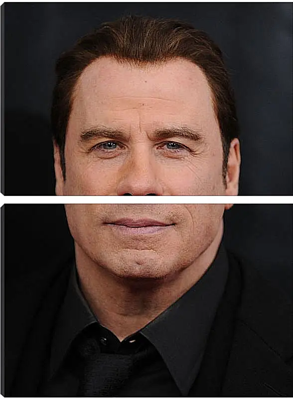 Модульная картина - Джон Траволта. John Travolta