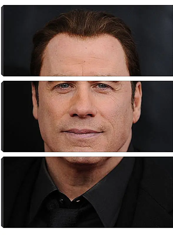 Модульная картина - Джон Траволта. John Travolta