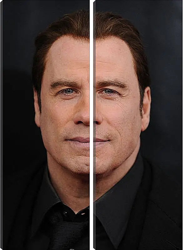Модульная картина - Джон Траволта. John Travolta