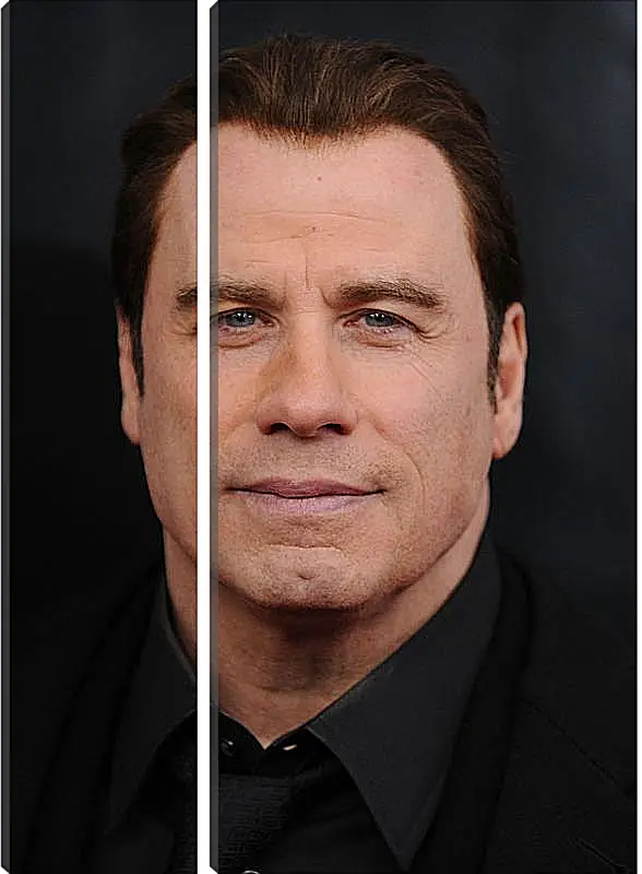 Модульная картина - Джон Траволта. John Travolta