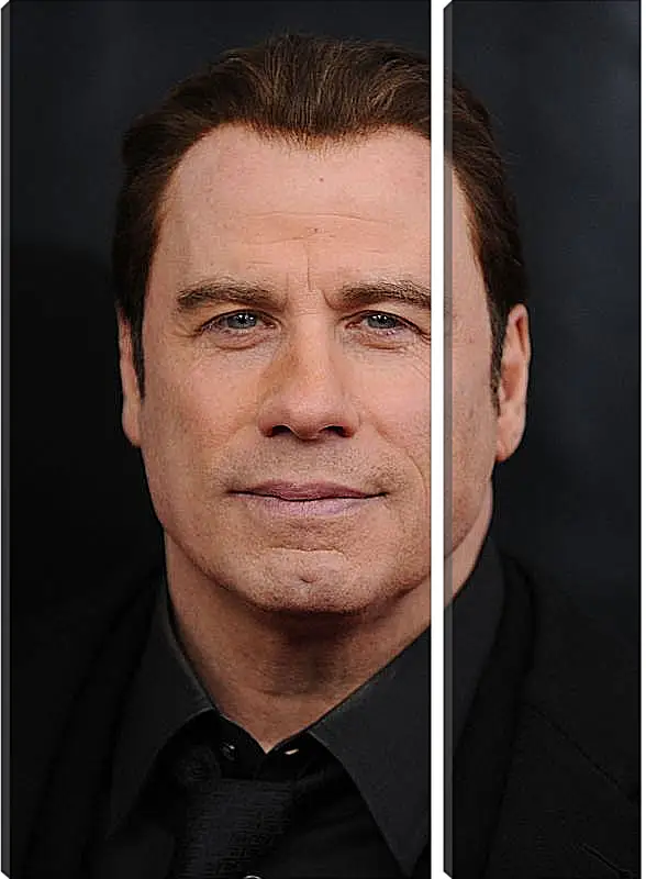 Модульная картина - Джон Траволта. John Travolta