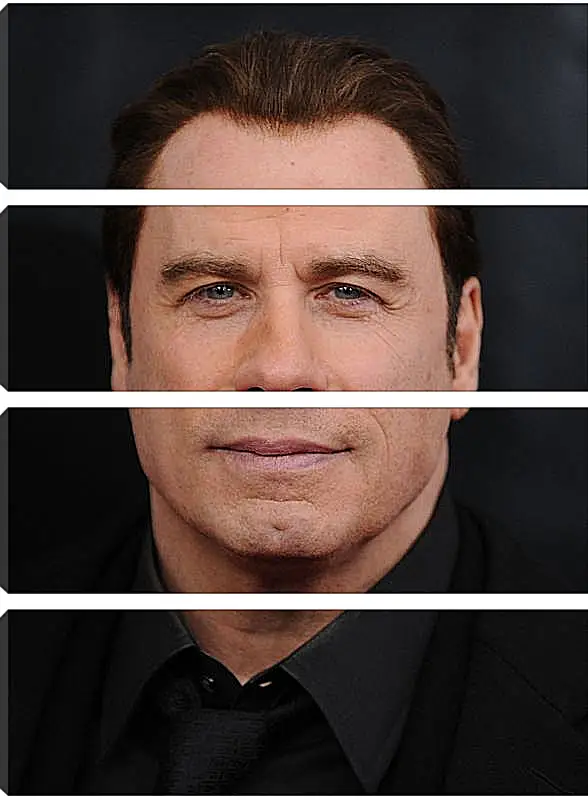 Модульная картина - Джон Траволта. John Travolta