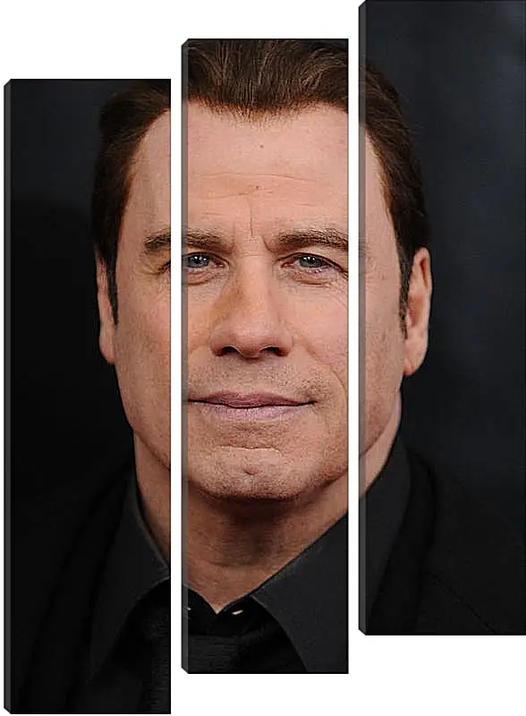 Модульная картина - Джон Траволта. John Travolta