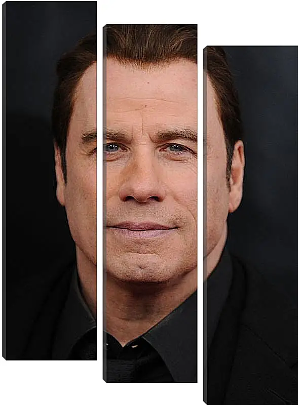 Модульная картина - Джон Траволта. John Travolta