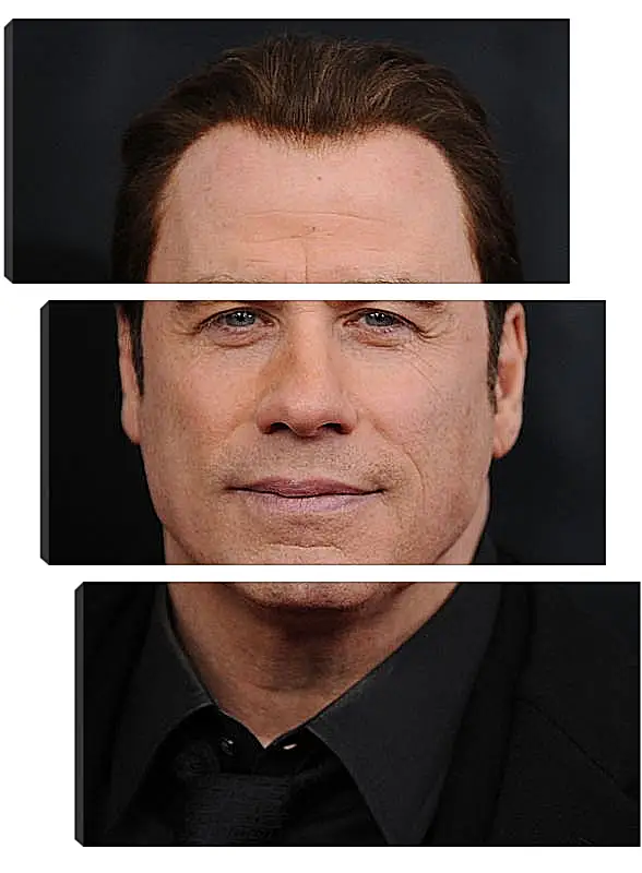 Модульная картина - Джон Траволта. John Travolta