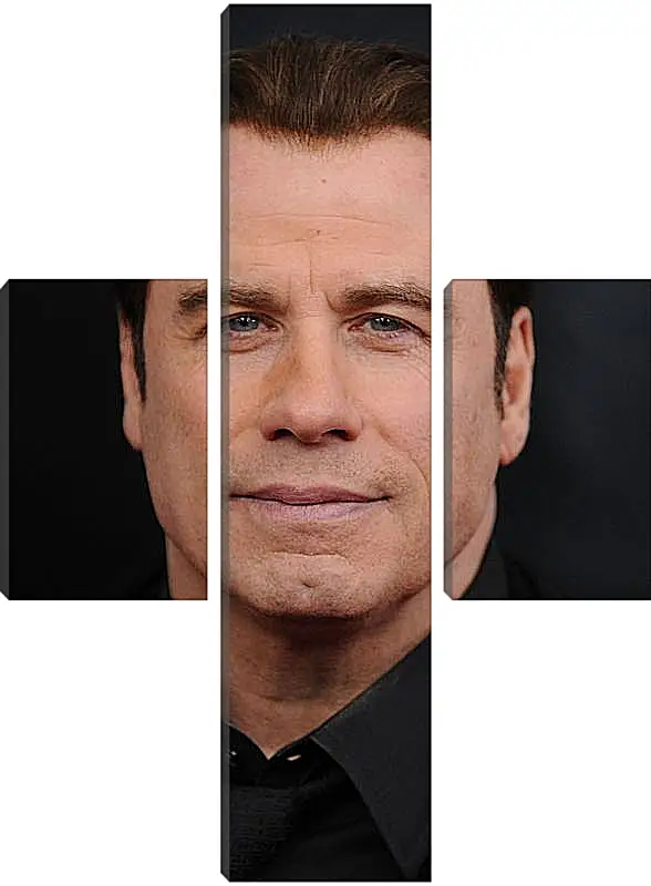 Модульная картина - Джон Траволта. John Travolta