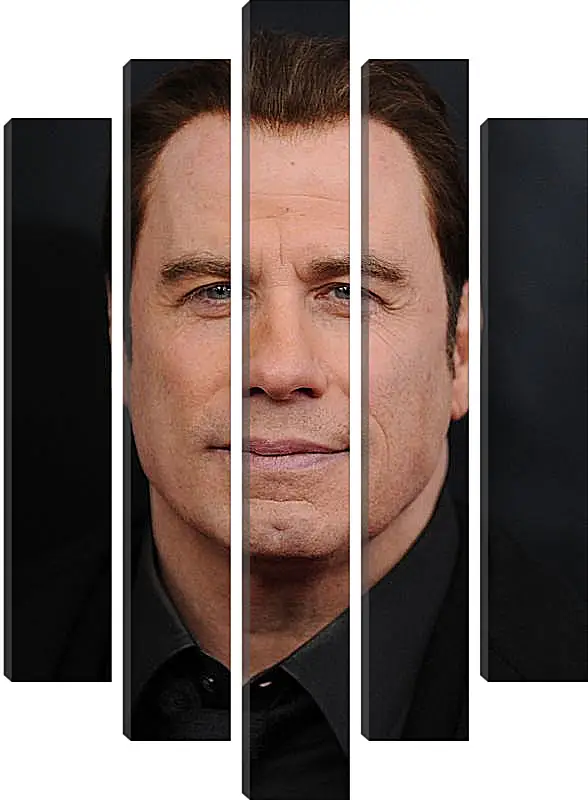 Модульная картина - Джон Траволта. John Travolta