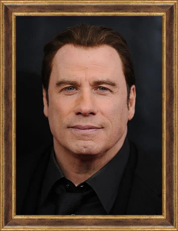 Картина в раме - Джон Траволта. John Travolta