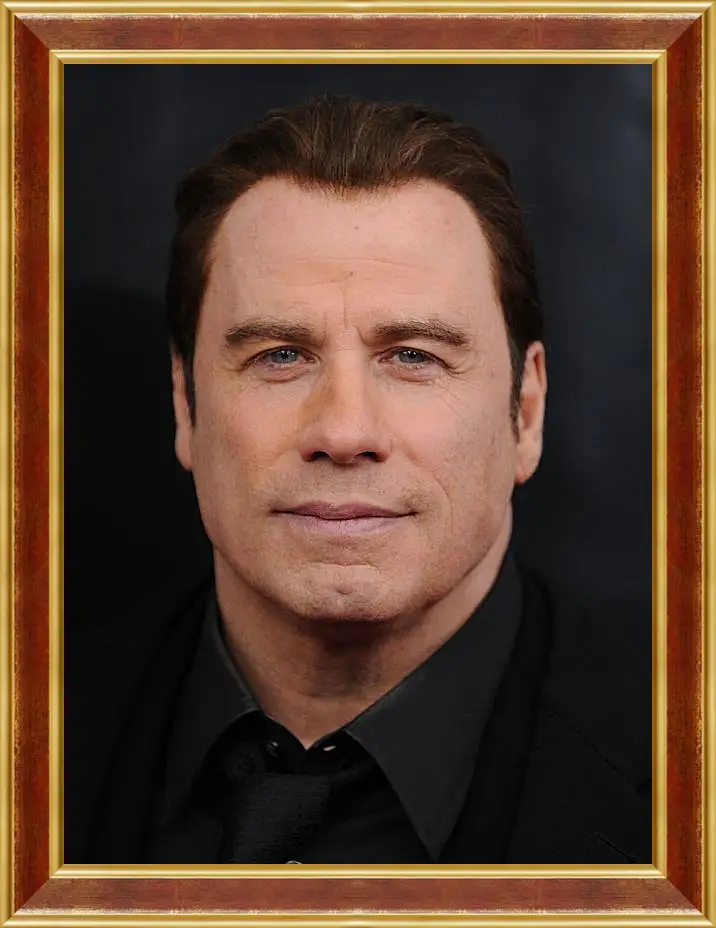 Картина в раме - Джон Траволта. John Travolta