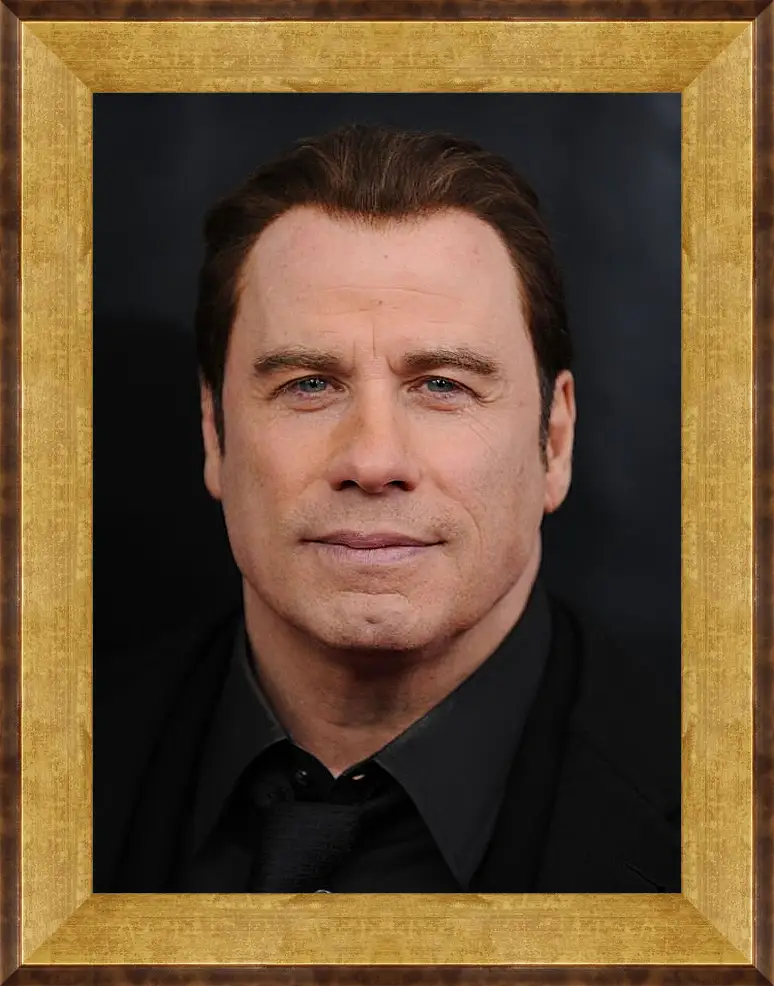 Картина в раме - Джон Траволта. John Travolta