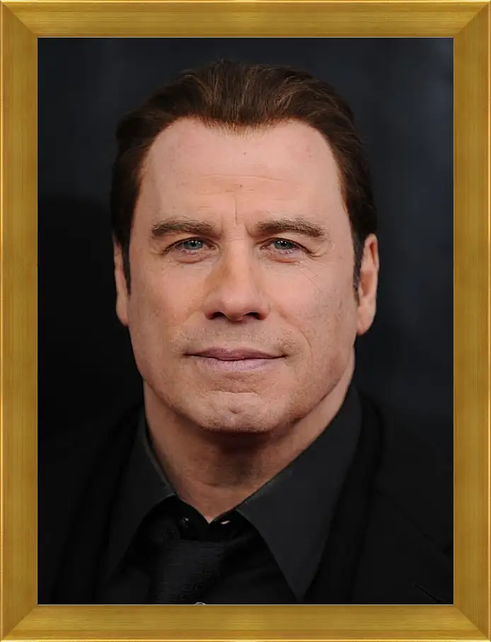 Картина в раме - Джон Траволта. John Travolta