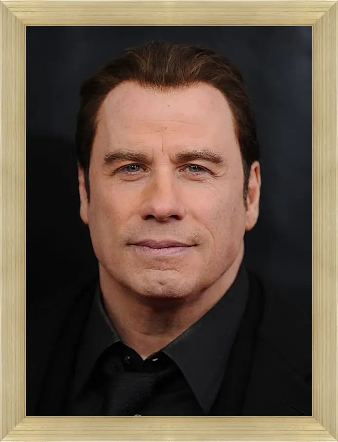 Картина в раме - Джон Траволта. John Travolta