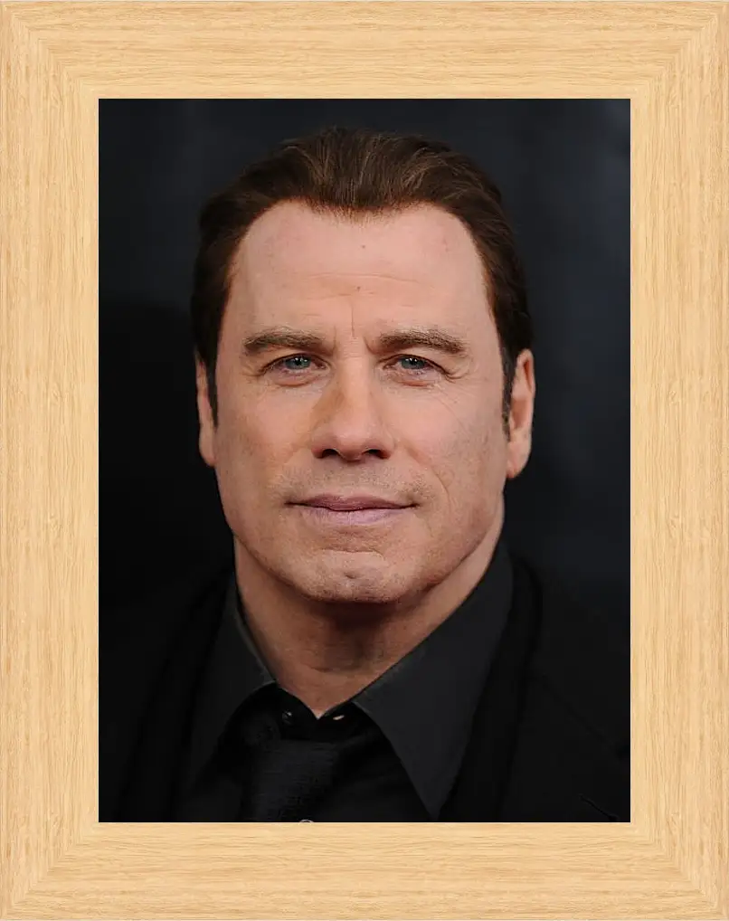 Картина в раме - Джон Траволта. John Travolta