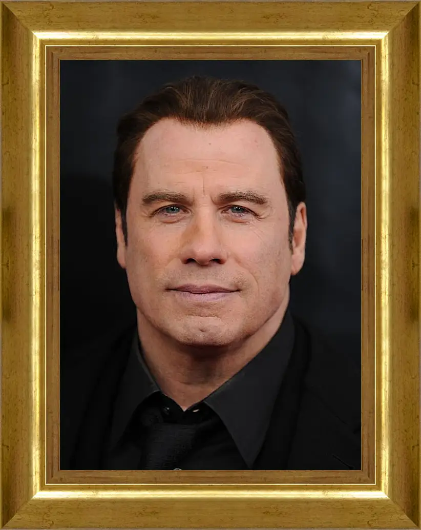 Картина в раме - Джон Траволта. John Travolta