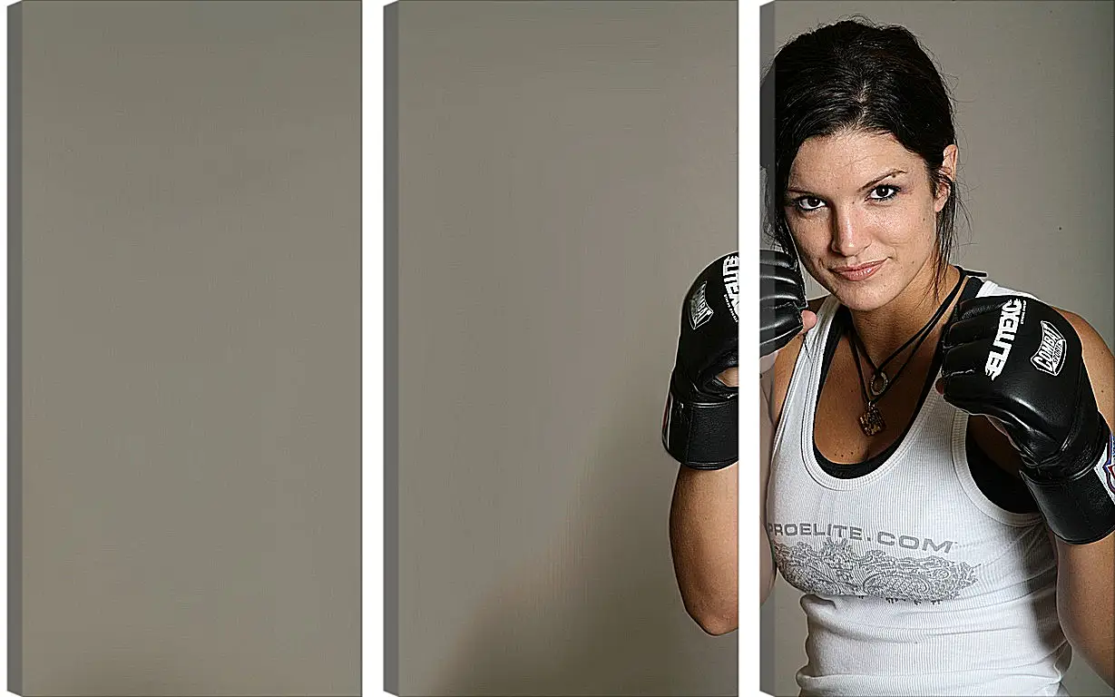 Модульная картина - MMA. UFC. Джина Карано. Gina Joy Carano.