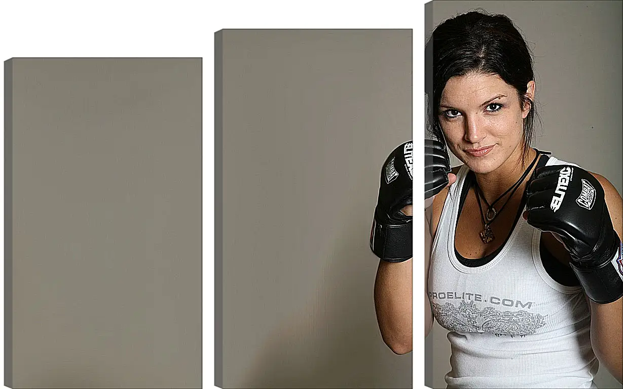 Модульная картина - MMA. UFC. Джина Карано. Gina Joy Carano.