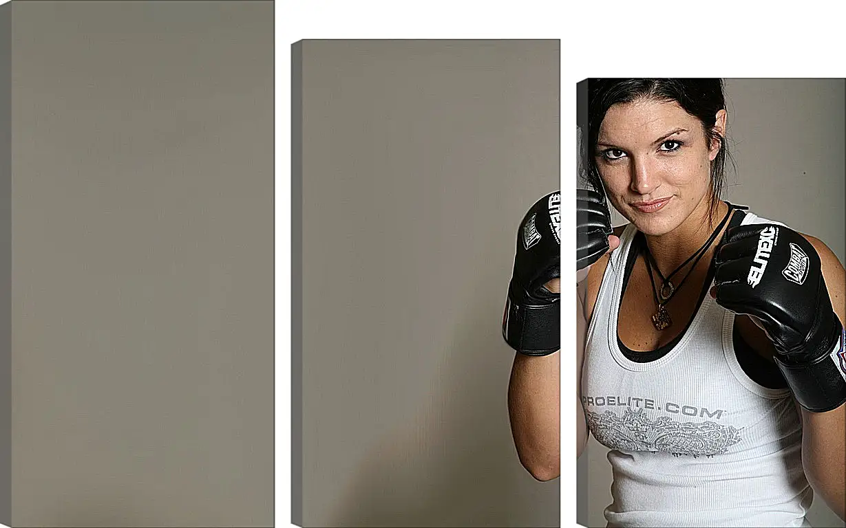 Модульная картина - MMA. UFC. Джина Карано. Gina Joy Carano.