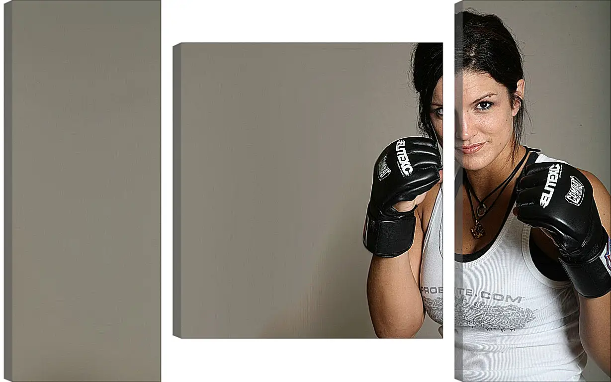 Модульная картина - MMA. UFC. Джина Карано. Gina Joy Carano.