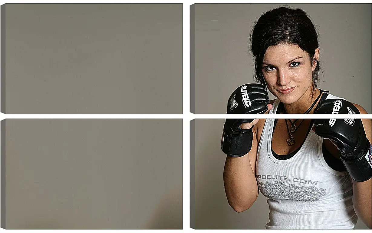 Модульная картина - MMA. UFC. Джина Карано. Gina Joy Carano.