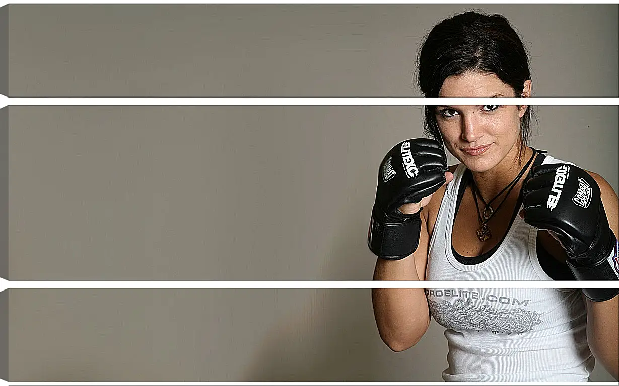 Модульная картина - MMA. UFC. Джина Карано. Gina Joy Carano.