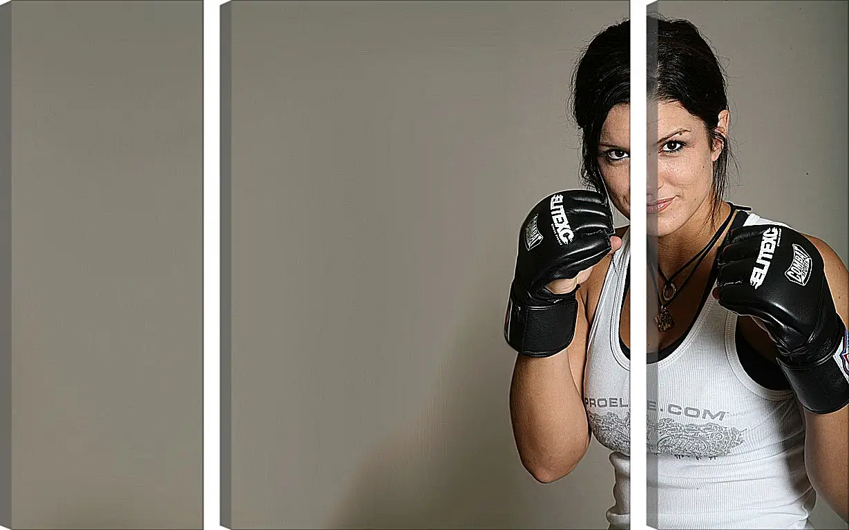 Модульная картина - MMA. UFC. Джина Карано. Gina Joy Carano.