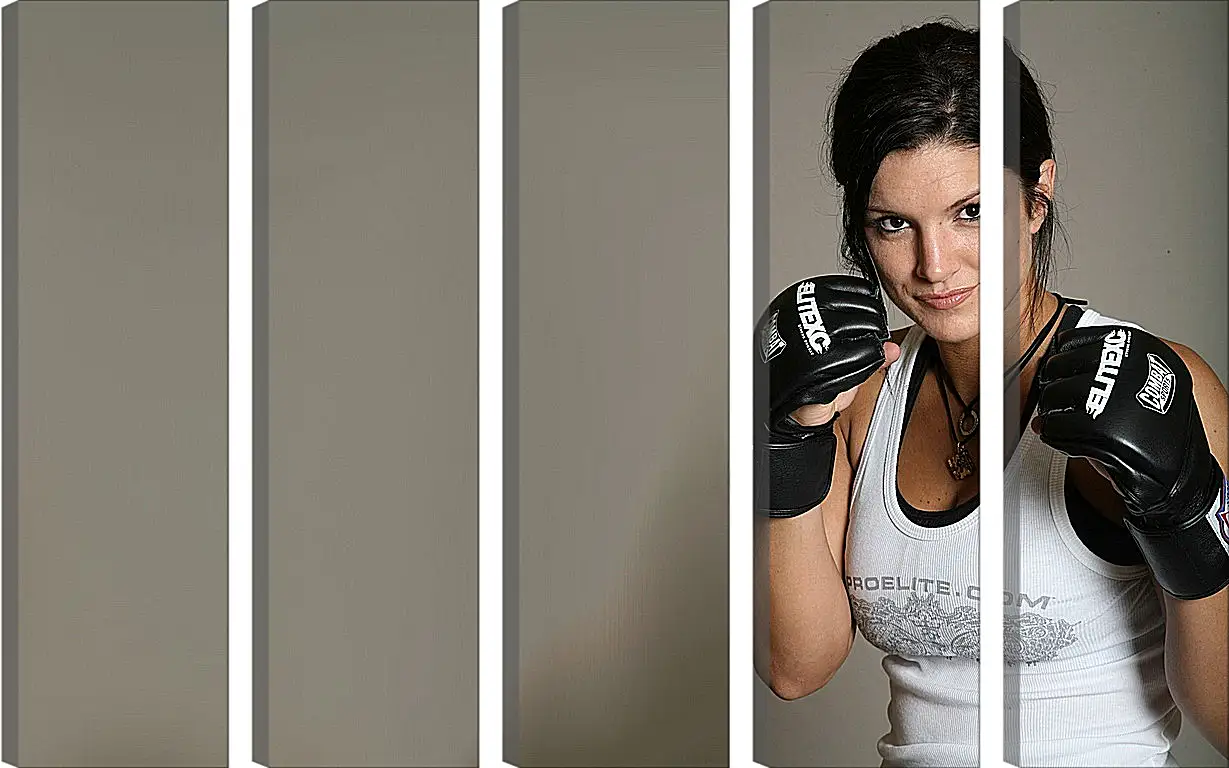 Модульная картина - MMA. UFC. Джина Карано. Gina Joy Carano.