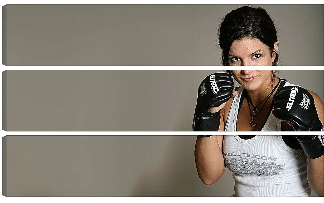 Модульная картина - MMA. UFC. Джина Карано. Gina Joy Carano.