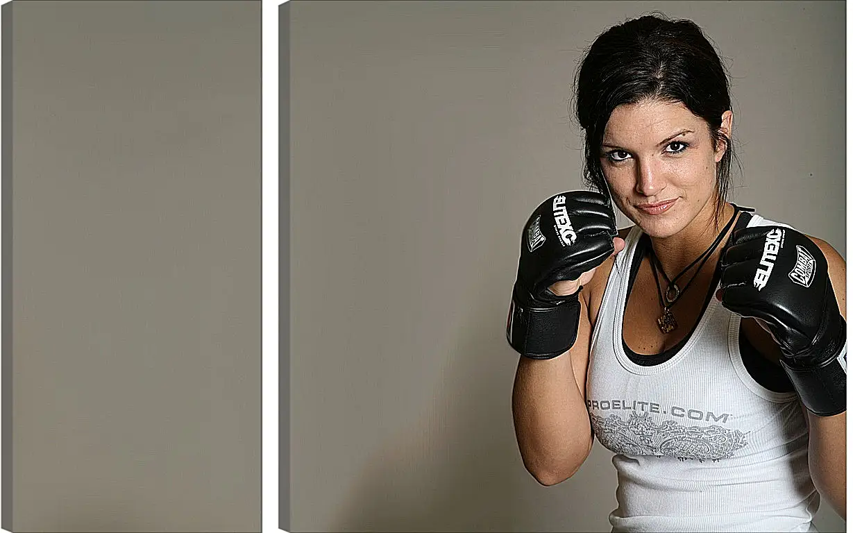 Модульная картина - MMA. UFC. Джина Карано. Gina Joy Carano.