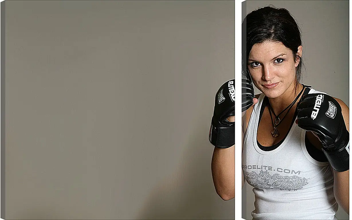 Модульная картина - MMA. UFC. Джина Карано. Gina Joy Carano.