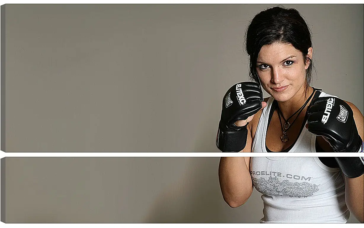 Модульная картина - MMA. UFC. Джина Карано. Gina Joy Carano.