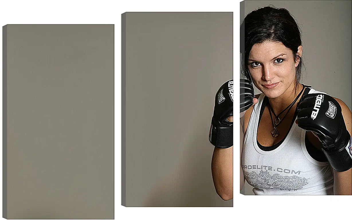 Модульная картина - MMA. UFC. Джина Карано. Gina Joy Carano.