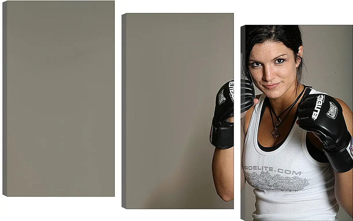 Модульная картина - MMA. UFC. Джина Карано. Gina Joy Carano.