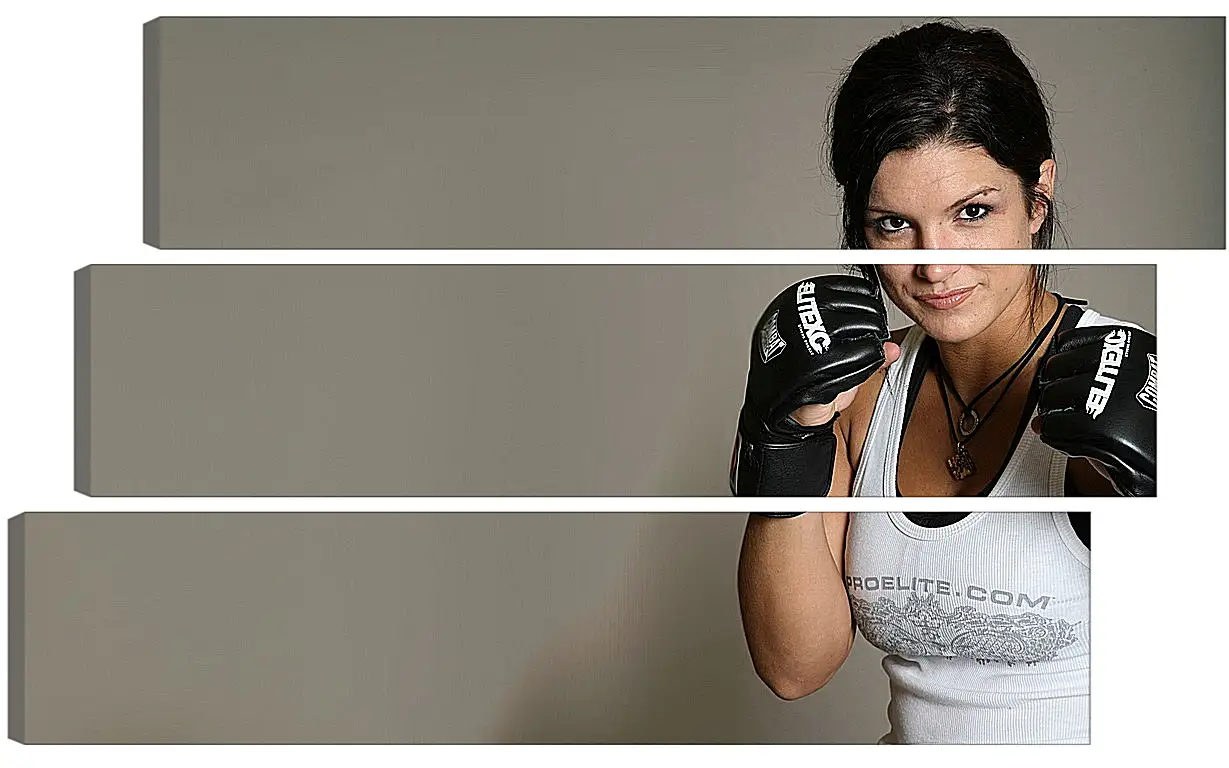 Модульная картина - MMA. UFC. Джина Карано. Gina Joy Carano.