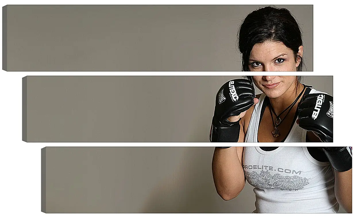 Модульная картина - MMA. UFC. Джина Карано. Gina Joy Carano.