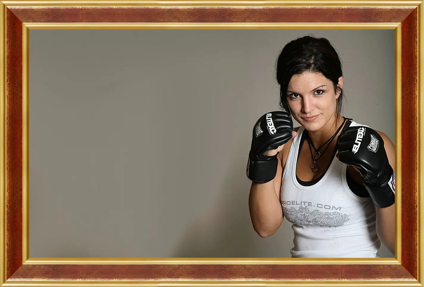 Картина в раме - MMA. UFC. Джина Карано. Gina Joy Carano.