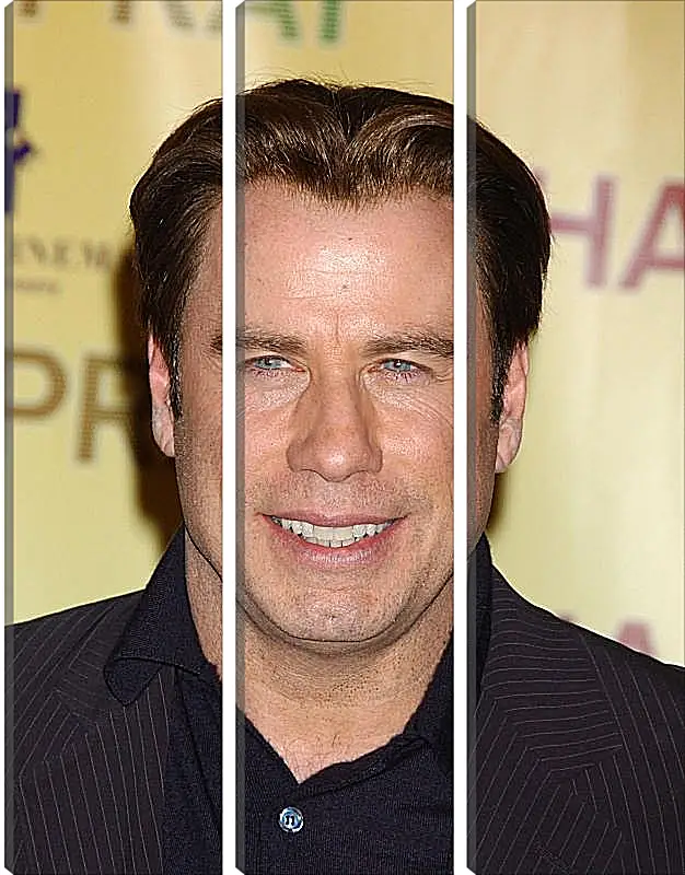 Модульная картина - Джон Траволта. John Travolta