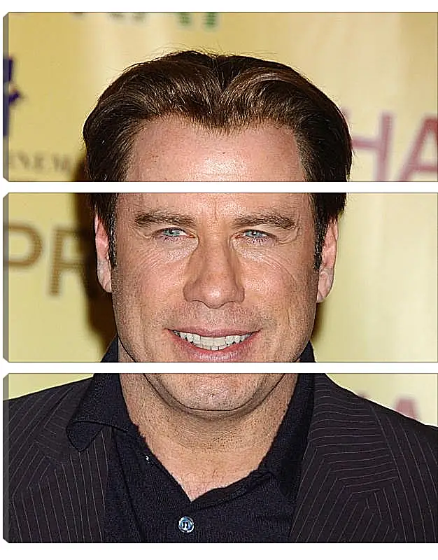 Модульная картина - Джон Траволта. John Travolta