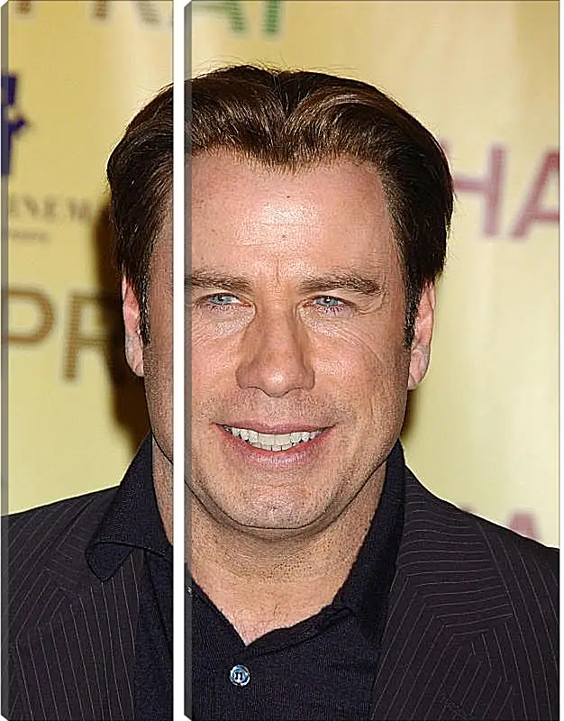 Модульная картина - Джон Траволта. John Travolta