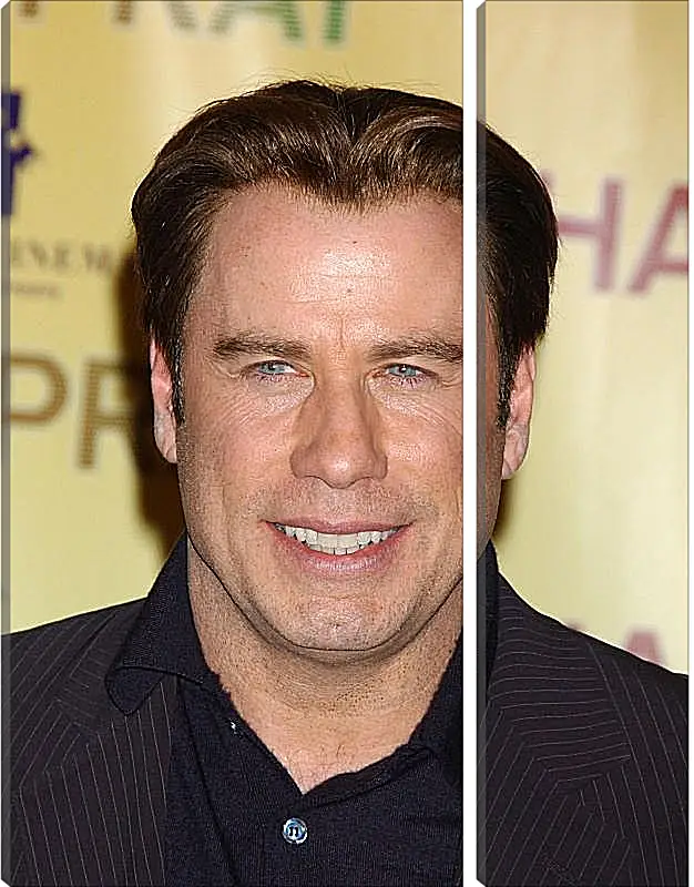 Модульная картина - Джон Траволта. John Travolta