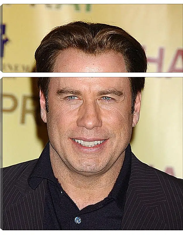 Модульная картина - Джон Траволта. John Travolta