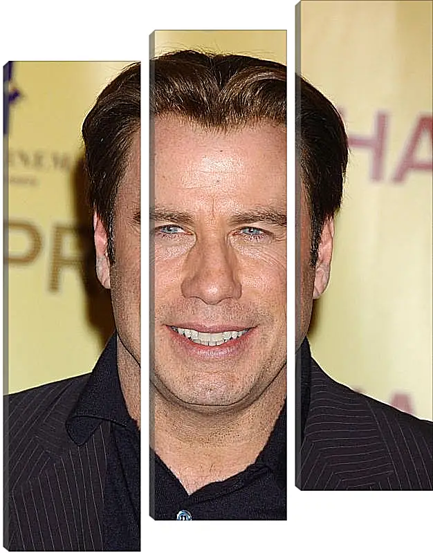 Модульная картина - Джон Траволта. John Travolta