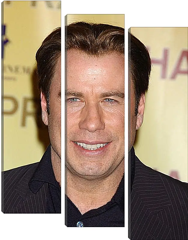 Модульная картина - Джон Траволта. John Travolta